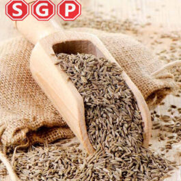 Cumin Seeds (Jeera Whole)